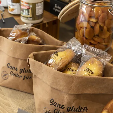 Odalys Centre 3* Metz